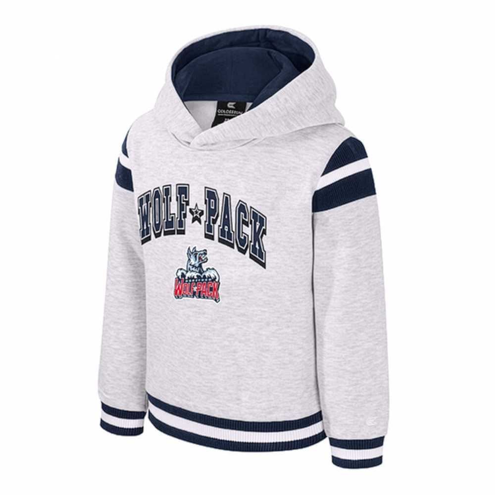 Hartford Wolf Pack Colosseum Toddler Mackenzie Hoodie Gray Product View