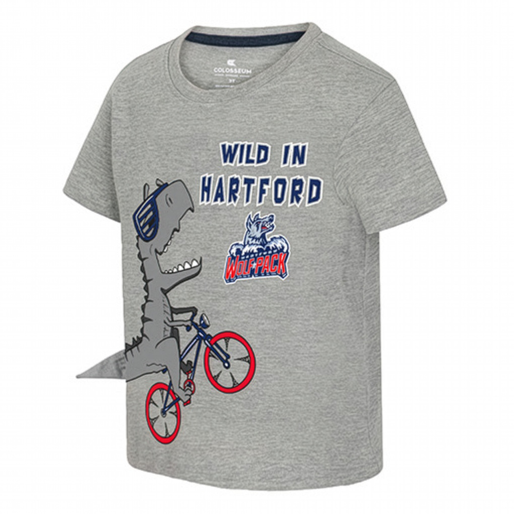 Hartford Wolf Pack Colosseum Toddler Wild Dino T-Shirt Gray Product View