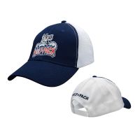Hartford Wolf Pack Primary Logo Mesh Trucker Snap Back Cap