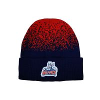 Hartford Wolf Pack Logo Static Pattern Beanie