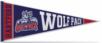 Hartford Wolf Pack Pennant