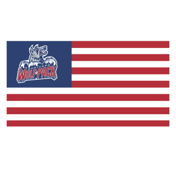 Hartford Wolf Pack 3x5 American Flag 