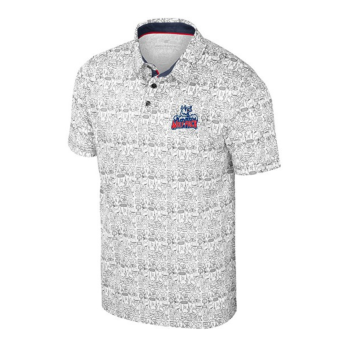 Hartford Wolf Pack Colosseum Its Time All Over Print Polo 